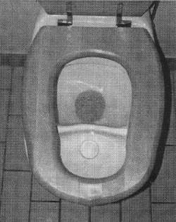 No-mix-toilet